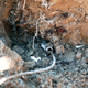 Illustration for article titled Flint Just Replaced Its First Lead Pipe (Only About 8,000 More to Go)